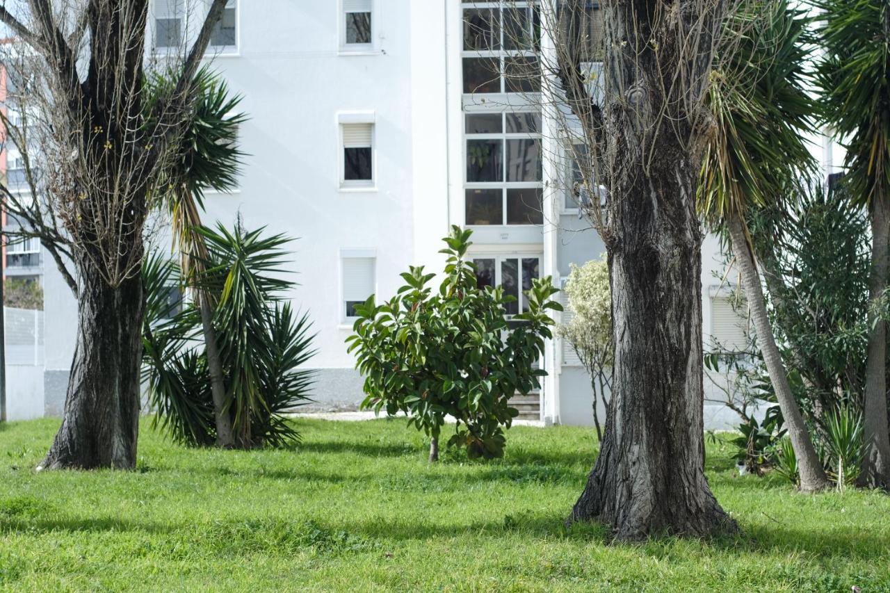 Olive Grove By Trip2portugal Apartment Lisbon